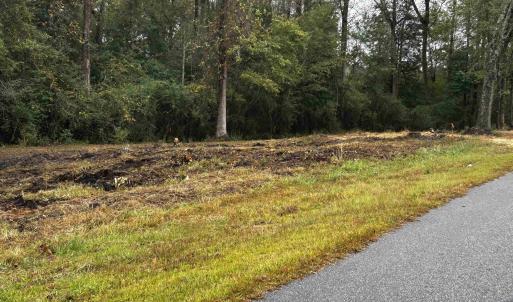 Photo #5 of TBD Ole Maple St., Loris, SC 1.9 acres
