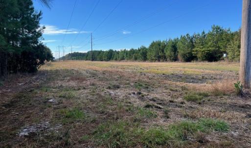 Photo #20 of TBD Sand Plant Rd., Nichols, SC 123.4 acres