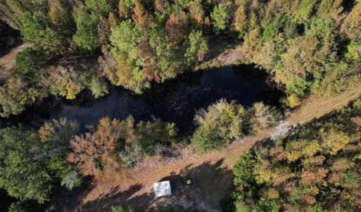 Photo #7 of TBD Sand Plant Rd., Nichols, SC 123.4 acres