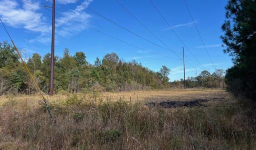 Photo #21 of TBD Sand Plant Rd., Nichols, SC 123.4 acres