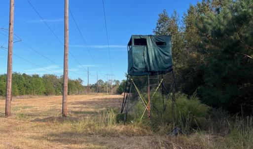 Photo #14 of TBD Sand Plant Rd., Nichols, SC 123.4 acres
