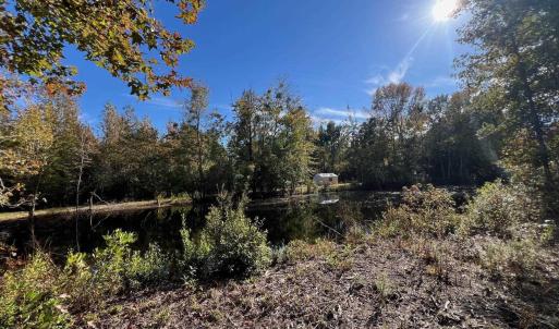 Photo #29 of TBD Sand Plant Rd., Nichols, SC 123.4 acres