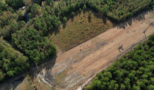 Photo #4 of TBD Sand Plant Rd., Nichols, SC 123.4 acres