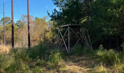 Photo #18 of TBD Sand Plant Rd., Nichols, SC 123.4 acres