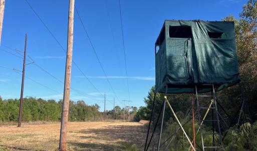 Photo #22 of TBD Sand Plant Rd., Nichols, SC 123.4 acres