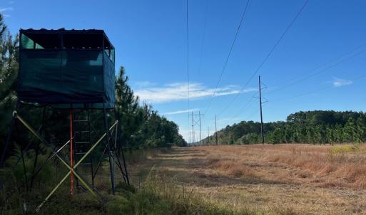 Photo #13 of TBD Sand Plant Rd., Nichols, SC 123.4 acres