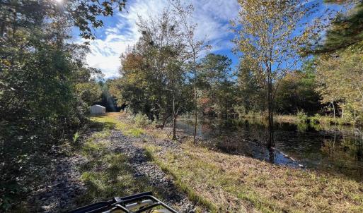 Photo #28 of TBD Sand Plant Rd., Nichols, SC 123.4 acres