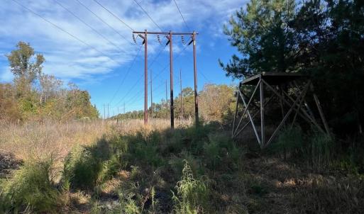 Photo #17 of TBD Sand Plant Rd., Nichols, SC 123.4 acres