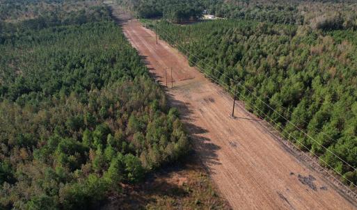 Photo #12 of TBD Sand Plant Rd., Nichols, SC 123.4 acres