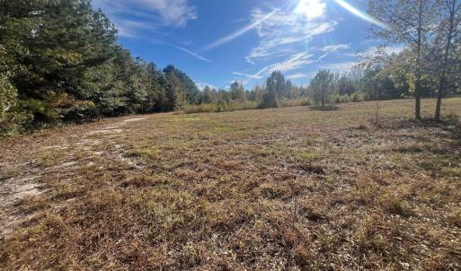 Photo #32 of TBD Sand Plant Rd., Nichols, SC 123.4 acres