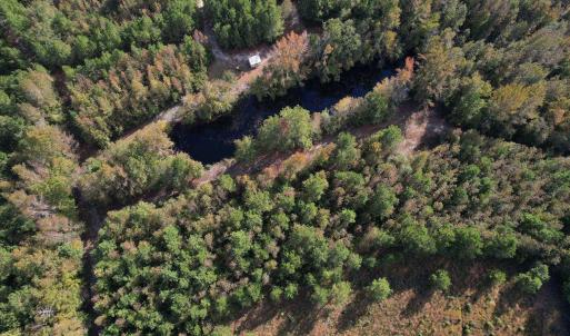 Photo #6 of TBD Sand Plant Rd., Nichols, SC 123.4 acres