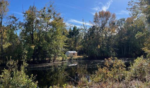 Photo #9 of TBD Sand Plant Rd., Nichols, SC 123.4 acres