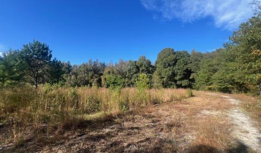 Photo #15 of TBD Sand Plant Rd., Nichols, SC 123.4 acres