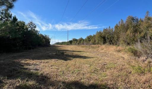 Photo #33 of TBD Sand Plant Rd., Nichols, SC 123.4 acres