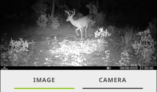 Photo #37 of TBD Sand Plant Rd., Nichols, SC 123.4 acres