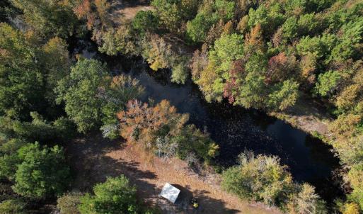 Photo #8 of TBD Sand Plant Rd., Nichols, SC 123.4 acres