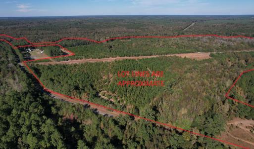 Photo #2 of TBD Sand Plant Rd., Nichols, SC 123.4 acres