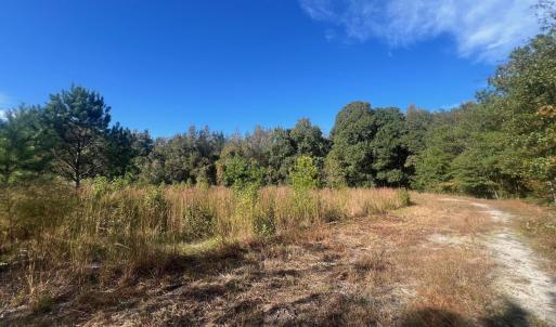 Photo #15 of TBD Sand Plant Rd., Nichols, SC 123.4 acres
