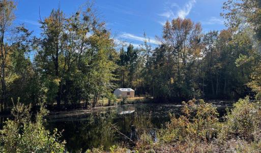 Photo #9 of TBD Sand Plant Rd., Nichols, SC 123.4 acres