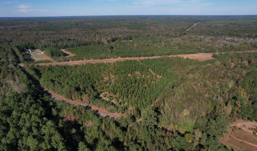 Photo #1 of TBD Sand Plant Rd., Nichols, SC 123.4 acres