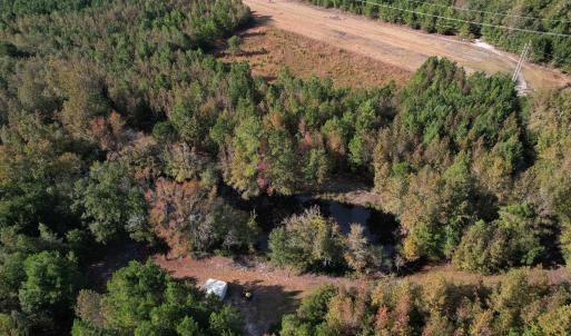 Photo #5 of TBD Sand Plant Rd., Nichols, SC 123.4 acres