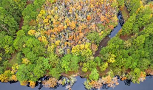 Photo #9 of 275 Waccamaw River Dr., Conway, SC 4.0 acres