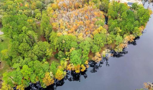 Photo #5 of 275 Waccamaw River Dr., Conway, SC 4.0 acres
