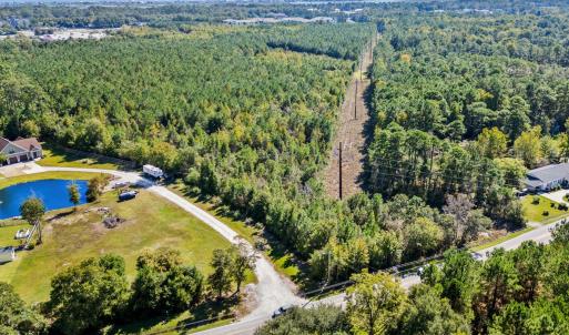 Bird's eye view of a forest and a large body of wa