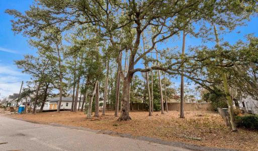 Photo #3 of 4616 Marion Circle, North Myrtle Beach, SC 0.3 acres