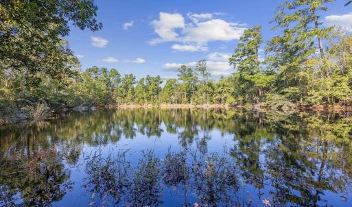 Photo #7 of TBD Old Reaves Ferry Rd., Conway, SC 35.6 acres