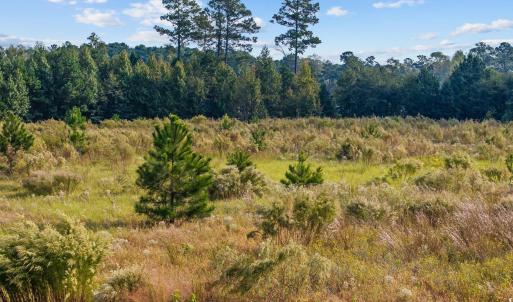 Photo #5 of TBD Old Reaves Ferry Rd., Conway, SC 35.6 acres