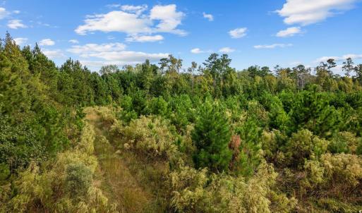 Photo #9 of TBD Old Reaves Ferry Rd., Conway, SC 35.6 acres