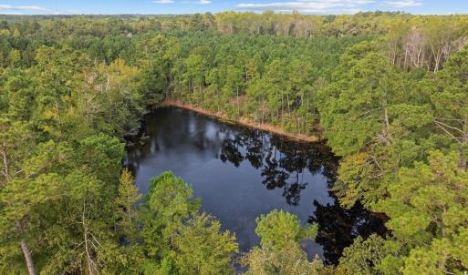 Photo #8 of TBD Old Reaves Ferry Rd., Conway, SC 35.6 acres
