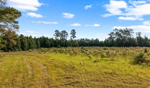 Photo #4 of TBD Tract A Old Reaves Ferry Rd., Conway, SC 17.9 acres