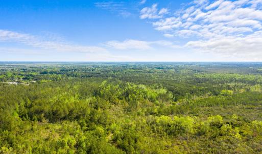 Photo #4 of TBD Water Tower Rd., Longs, SC 194.0 acres