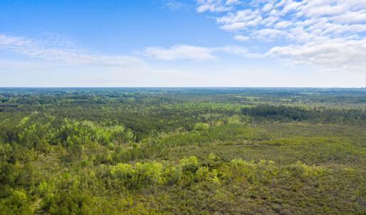 Photo #1 of TBD Water Tower Rd., Longs, SC 194.0 acres