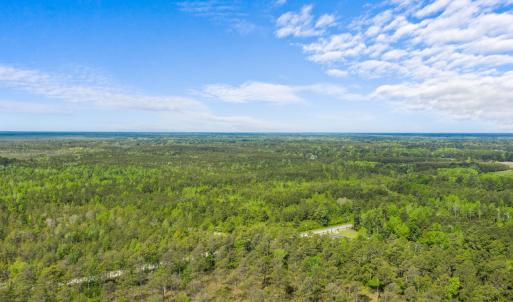 Photo #3 of TBD Water Tower Rd., Longs, SC 194.0 acres