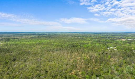 Photo #5 of TBD Water Tower Rd., Longs, SC 194.0 acres