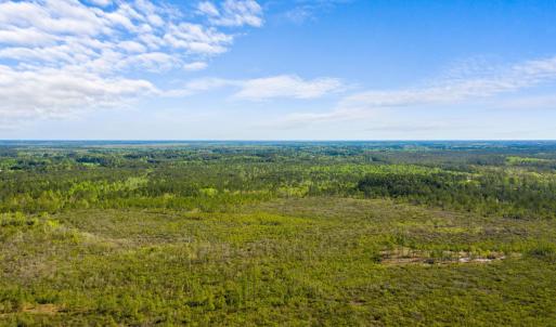 Photo #6 of TBD Water Tower Rd., Longs, SC 194.0 acres