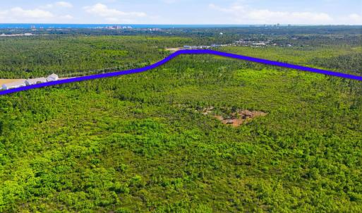 Photo #14 of TBD Water Tower Rd., Longs, SC 194.0 acres