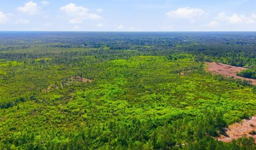 Photo #9 of TBD Water Tower Rd., Longs, SC 194.0 acres