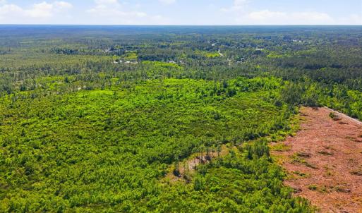 Photo #12 of TBD Water Tower Rd., Longs, SC 194.0 acres