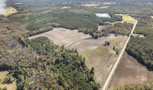 Aerial view of a forest