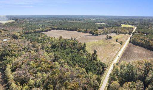 Drone / aerial view of a forest