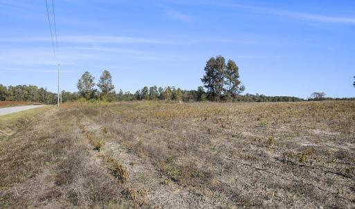 View of nature with rural landscape