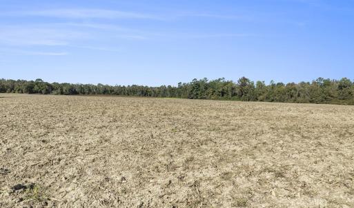 View of local wilderness with rural landscape