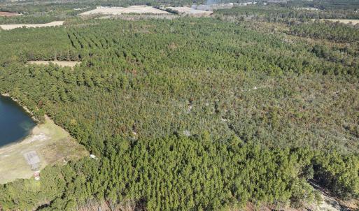 View of property location with a forest and a larg