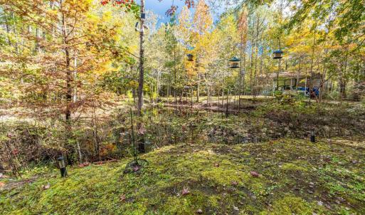 Photo #12 of 799 Redmond Ct., Conway, SC 4.5 acres