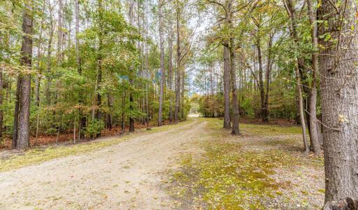 Photo #5 of 799 Redmond Ct., Conway, SC 4.5 acres