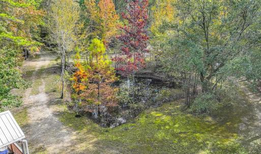 Photo #14 of 799 Redmond Ct., Conway, SC 4.5 acres